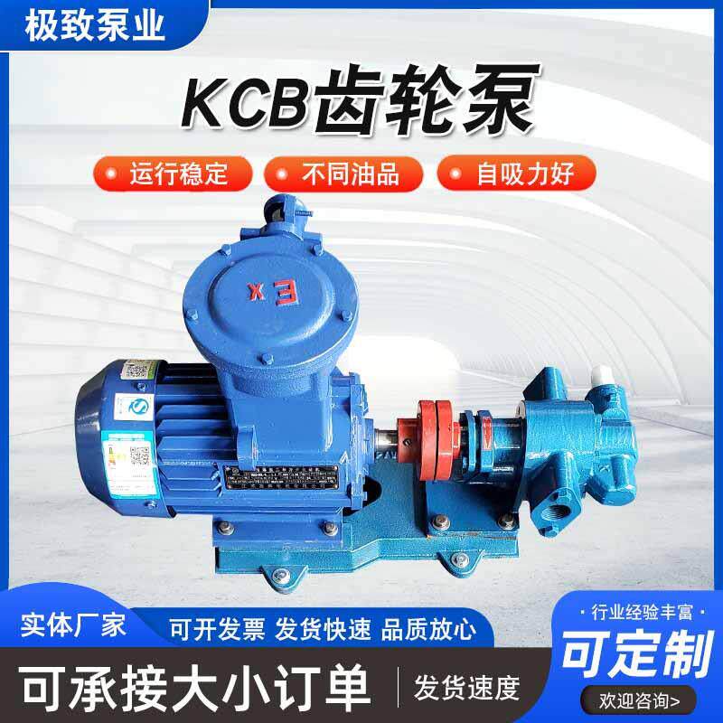 KCB齿轮油泵 柴油润滑机油齿轮油泵 铸铁135/200高压自吸抽油泵