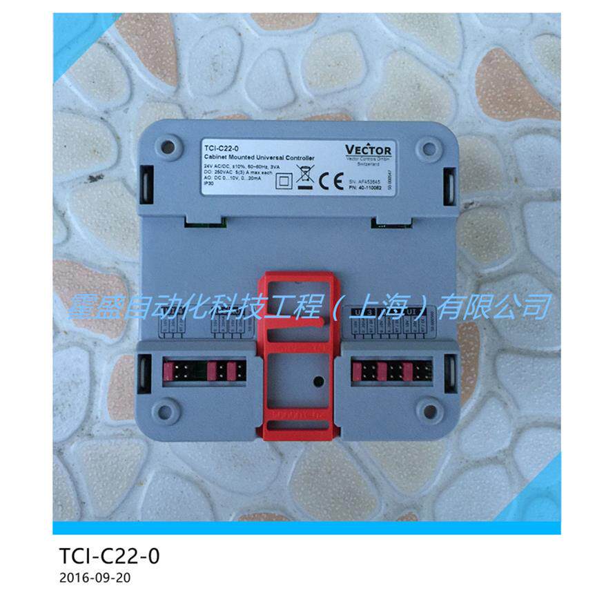 VECTOR伟拓 TCI-C22-0柜装式通用型PID控制器 冷热自动切换温控器