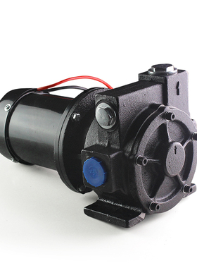 12V24V大流量自吸泵650W大功率柴油泵电动抽油泵柴油泵车载加油机
