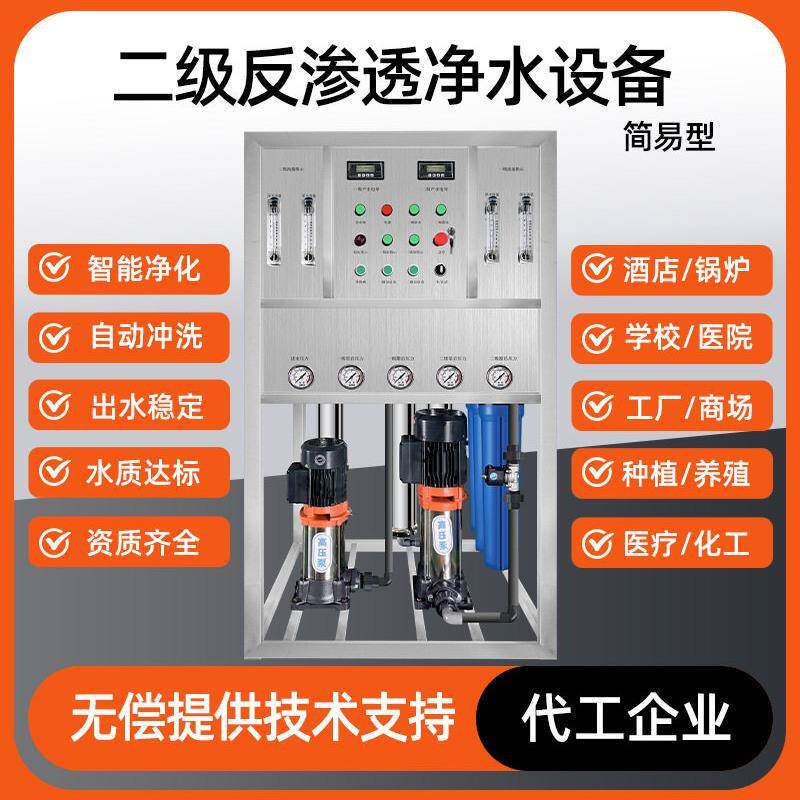 双级反渗透设备商用二级RO净水器纯净水处理洗衣液洗化去离子EDI