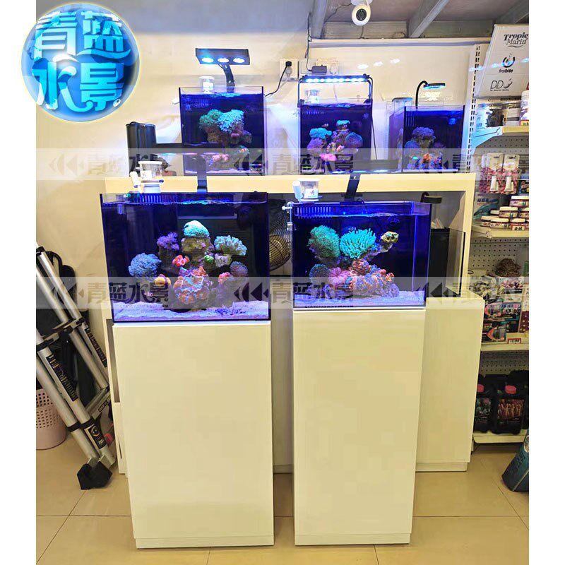 海水背滤海缸套餐青蓝水族新款玻璃小缸珊瑚桌面新手微缸海水缸