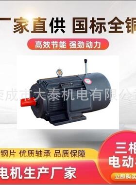 荣成大泰电机厂家YEJ-160M-4 电磁制动马达三相异步电动机