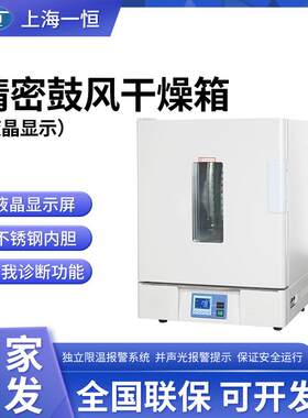 上海一恒 精密鼓风干燥箱BPG-9056A/9156B液晶干燥箱恒温箱实验室