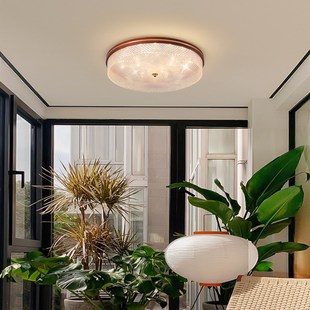 新中式大门口吸顶灯别墅入户灯门厅灯大门顶灯门楼庭院阳台照明灯