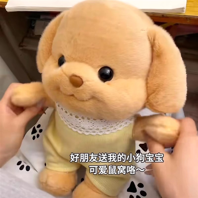 森贝儿毛绒玩具贵宾犬小鼻嘎玩偶可爱公仔家族大狗情人节七夕礼物