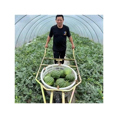 大棚西瓜免抬筐塑框钢丝筐两用手推式独轮推瓜车推瓜神车