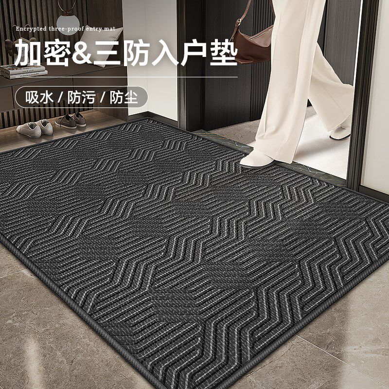 家用入户门地垫门厅进门高级感防滑地毯门口耐脏R门前脚垫室外门
