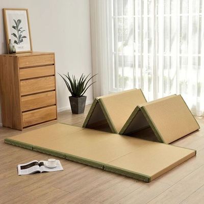 榻榻米环保椰棕芯垫定制家用儿童房书房卧室飘窗民宿酒店折叠床垫