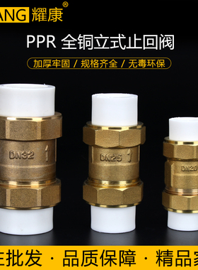 ppr全铜立式止回阀 竖式 PPR双活D接止回阀4分 6分1寸单向阀止逆