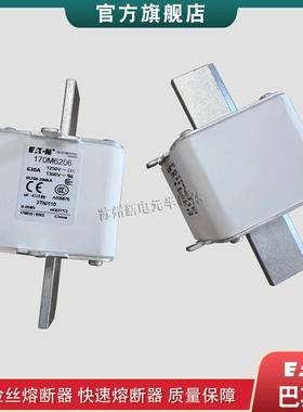 170M6202 6203 6206 6207 6229 6256 6277 6281 6299巴斯曼熔断器