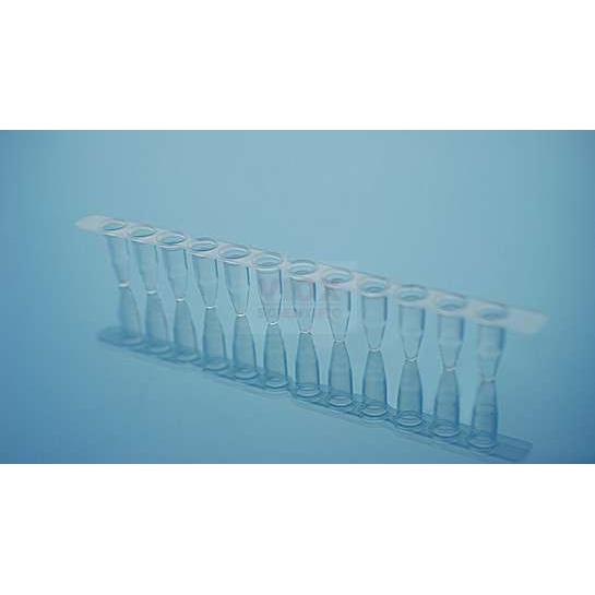 0.2 ml PCR 12联管  配荧光定量PCR 12联管光学平盖