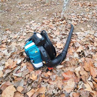 汽油落叶吹风机 背负式马路吹风机 手提背负式吹风机