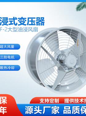 DBF2大型油浸式主变压器散热风机CFZ低噪声吹风装置冷却专用风扇