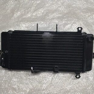 适用于铃木摩托车GW250水箱GSX250R小水壶DL保护网散热器风扇配件