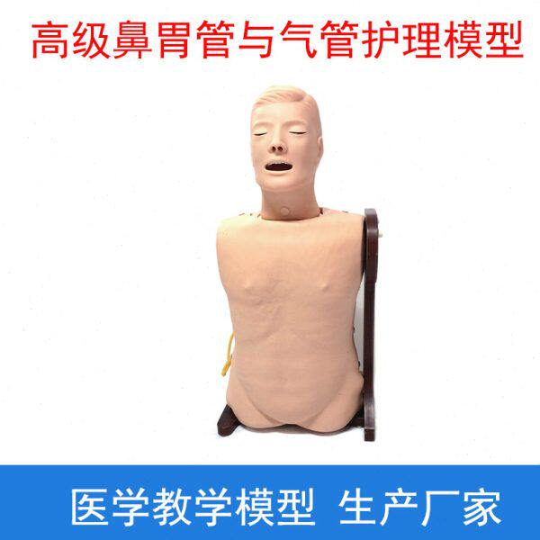 高级鼻胃管与气管护理模型 鼻饲模型 教学模型 护理培训练习