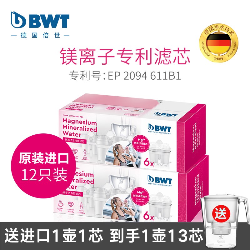 德国BWTd滤芯净水壶过滤水壶饮水机过滤器滤芯家用去水垢加强滤芯