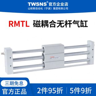 耦合缸1016无杆程NS气缸250行径TL0050/SW25T//M20/10磁/R