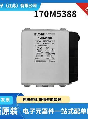 BUSSAMNN巴斯曼保险丝 快速熔断器170M5388 170M5410 170M5447