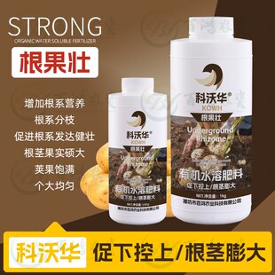 根果壮科沃华爆发生根壮苗移栽扦插果树瓜果花卉专用促根壮根肥料