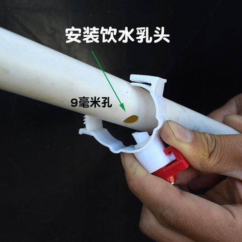 养殖专用水管鸡用饮水器带孔水线管水管兔鸡笼鸭用6分打孔PVC水管