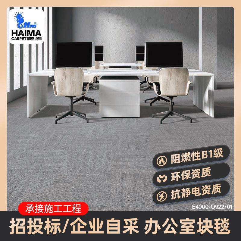 海马办公室地毯B1阻燃尼龙块毯防火防静电商务办公商用地毯图片