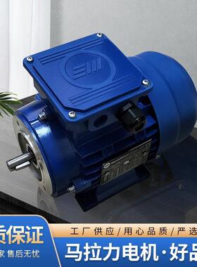 意大利MarelliMotori电机MOT.3~MAQ90L4电机