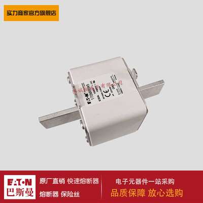 熔断器170M6868 170M6869 170M6870 170M6891 170M8645 170M8646