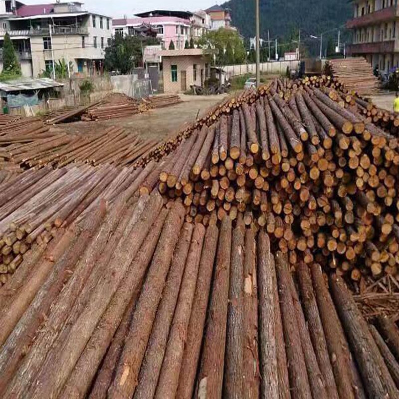 杉木杆天然原木带皮树干家居工程景观装饰婚庆木桩造景道具鸟站架