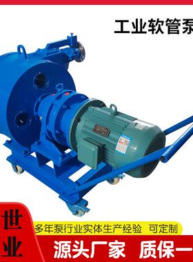 RGB100软管泵挤压泵发泡泵水泥泥浆输送泵蠕动泵工业泵头电动