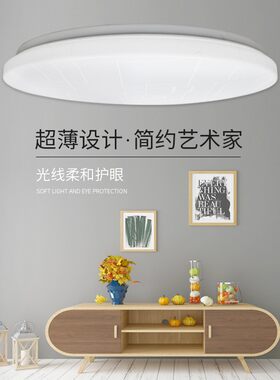 led吸顶灯简约现代8w12w15w20w24w30cm卧室灯过道走廊阳台灯圆形