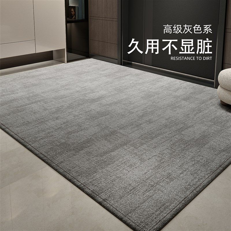 地垫入户门垫2025新款高级感大门口进门脚垫耐脏防滑室内家用地毯