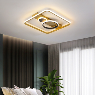 新款客厅灯简约现代轻奢卧室灯时尚金色艺术造型灯北欧吸顶灯