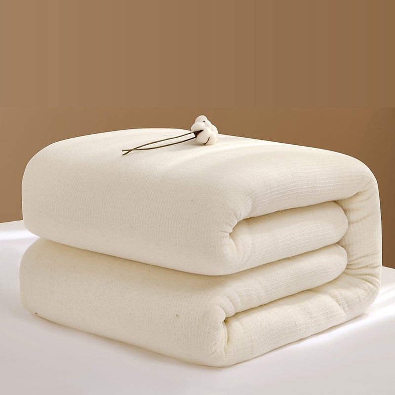 棉花被棉絮被子被芯冬被加厚10斤8斤床垫铺底被家用棉胎宿舍被褥,床上用品,棉花被,淘宝优惠券,粉丝福利购,淘宝优惠卷