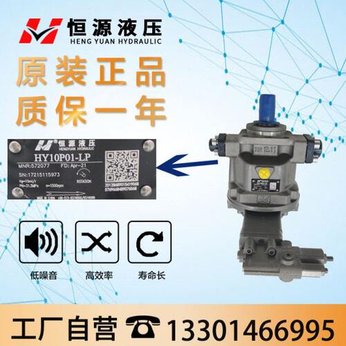 江苏恒源HY20/45/55/63/80/125/160/200/250P P01 P02 P03 P04-RP