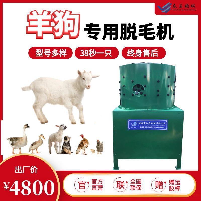 泰昌养狗脱毛机屠宰设备优惠羊脱毛机狗脱毛机绵羊拔毛机器全自动