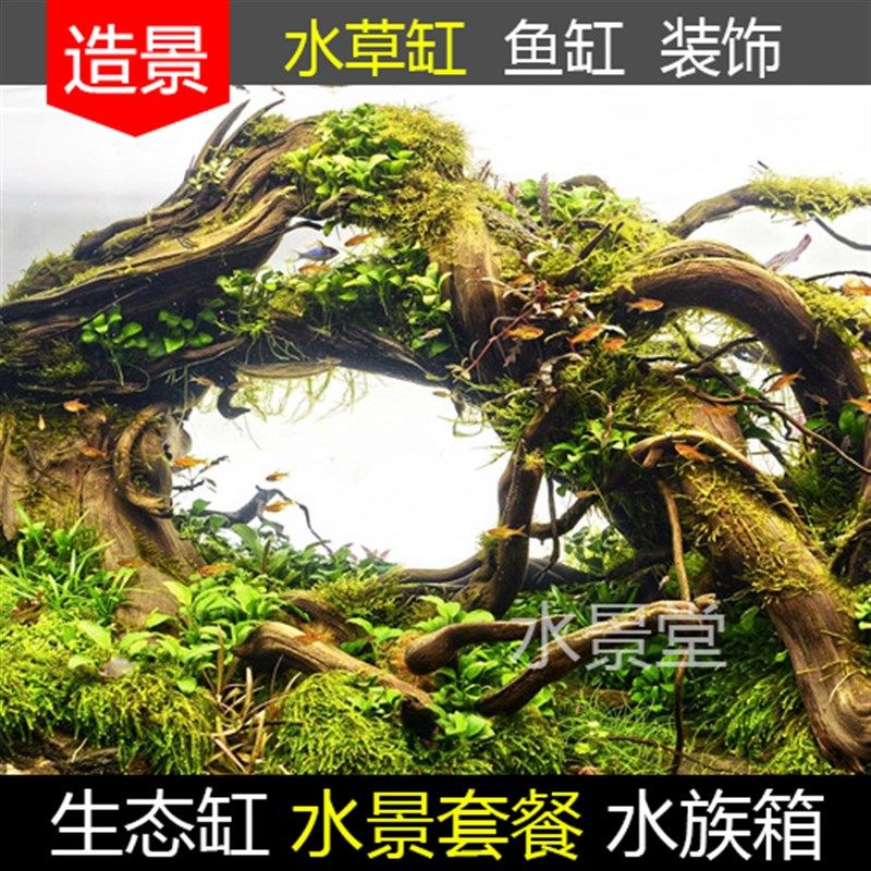 沉木造景套餐 水草缸装饰松皮石造景石山盆景水草缸鱼缸水族箱