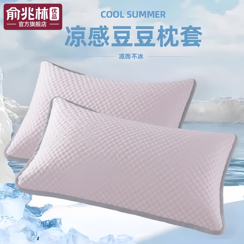 新款夏季冰丝枕套一对装枕头套48cmx74cm家用单个成人枕芯内胆套