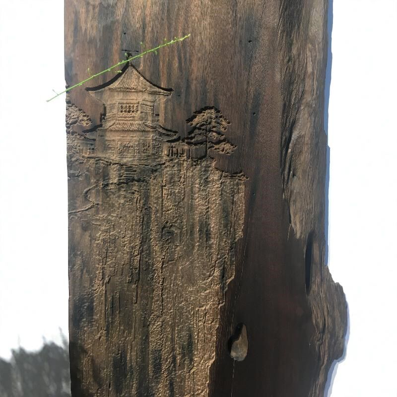 新中式金丝楠阴沉木雕挂画书房茶室玄关包间断崖别院原木风装饰画