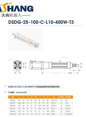 DSDG-25-100-C-L10-400W-T3工业机器人自动化精密高速滑台导轨