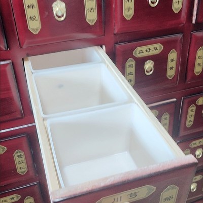 中药柜内胆塑料盒中药斗内置药盒放中药的盒子透明塑料防潮防串味