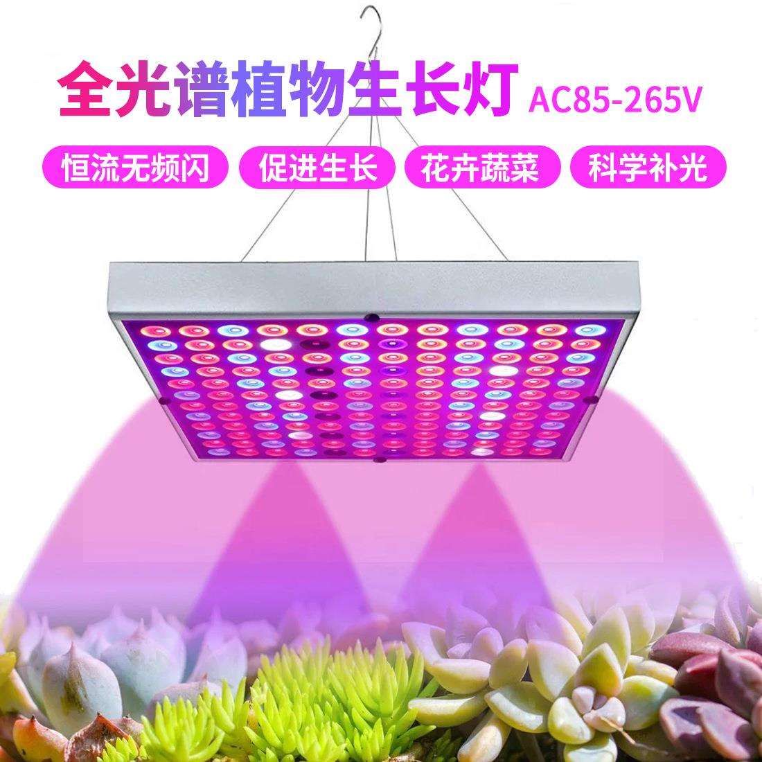红蓝LED植物生长灯全光谱室内补光灯温室生长灯厂家大棚阳台育苗