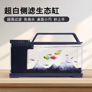 侧滤缸小型桌面带灯带过滤一体自循环懒人鱼缸生态造景超白鱼缸
