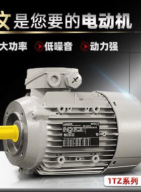 德国拉莫斯电机 LAMMERS三相异步电动机 LAMMERS Motors 1TZ9系列