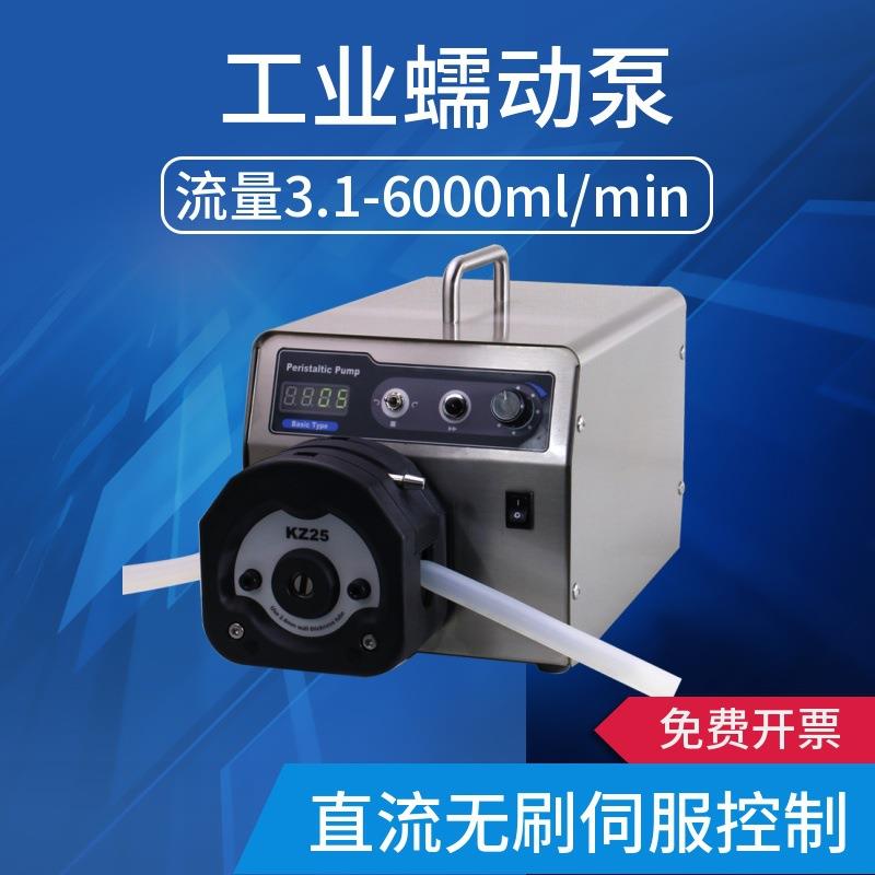 蠕动泵WT600-2J+KZ25化工制药调速型高精度多通道耐腐蚀