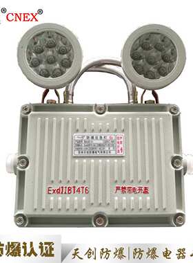 BAJ52 防爆应急灯 防爆照明应急灯 防爆灯具