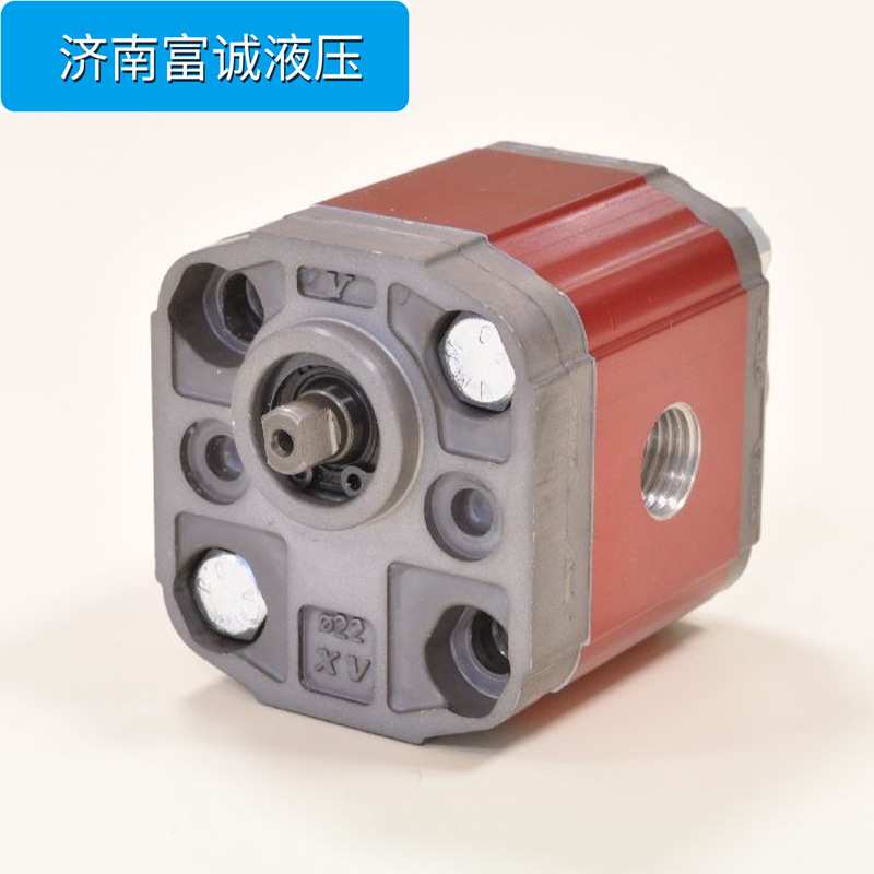 意大利VIVOIL双向液压泵XV-0R/0.25cm3/giro原装小排量双向齿轮泵