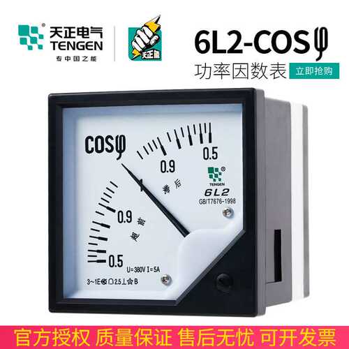 天正电气6L2-S COS380V指针式三相功率因数表频率表COSφ 380V