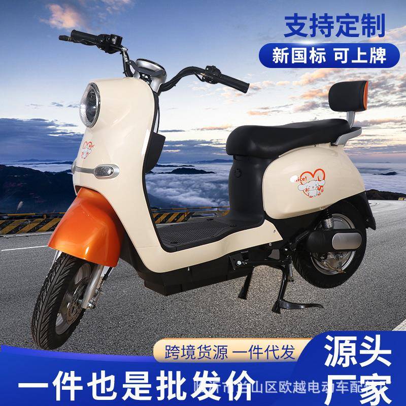 源头工厂出口国标电动车成人48V/60V电动车两轮双人电瓶车电