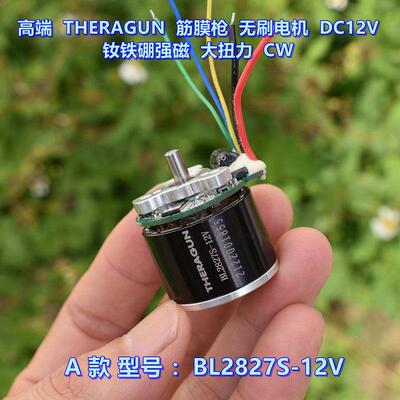 高端 THERAGUN 筋膜枪无刷马达 DC12V 钕铁硼强磁 大扭力 CW
