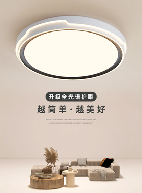 2025年新款主卧室灯房间led护眼吸顶灯现代简约网红Y爆款中山灯具